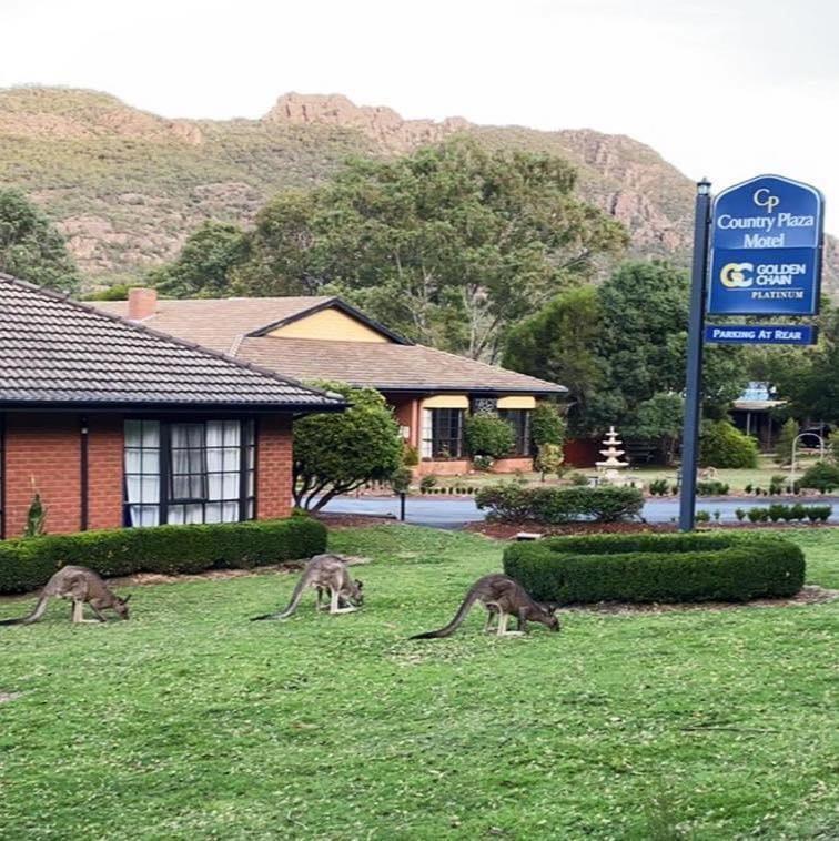 Golden Chain Country Plaza Motel Halls Gap Dış mekan fotoğraf