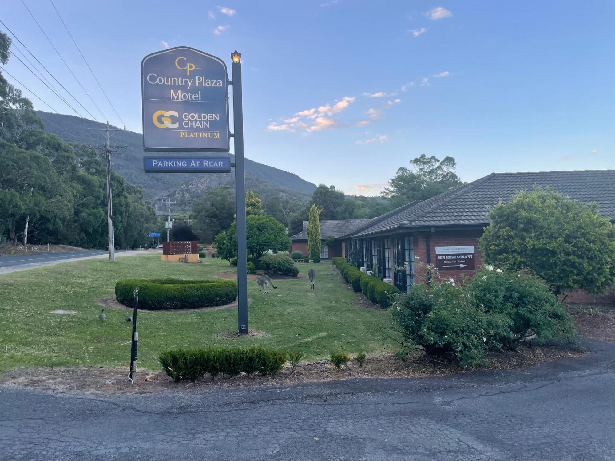 Golden Chain Country Plaza Motel Halls Gap Dış mekan fotoğraf